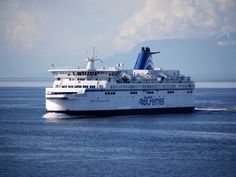 a cruise ship sailing in the ocean on a sunny day