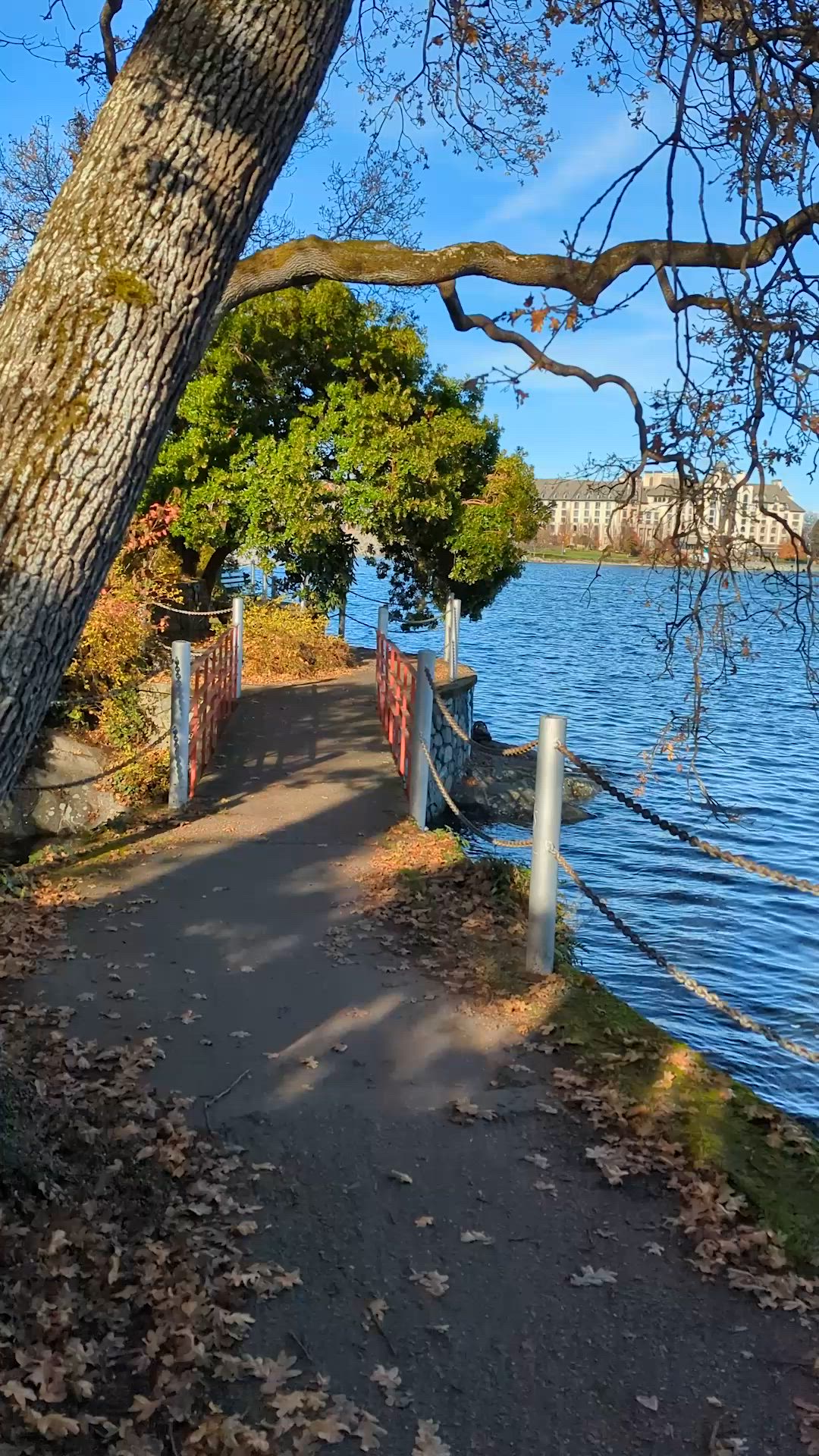 This contains: sunny walk along the inner harbour in Victoria, in the autumn